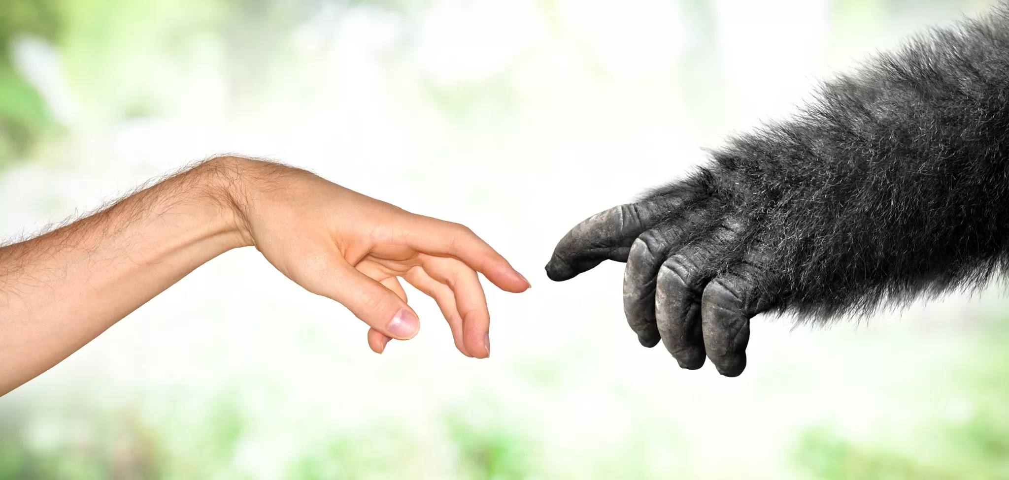 Communiquons Dieufarrec communique avec ses lecteurs